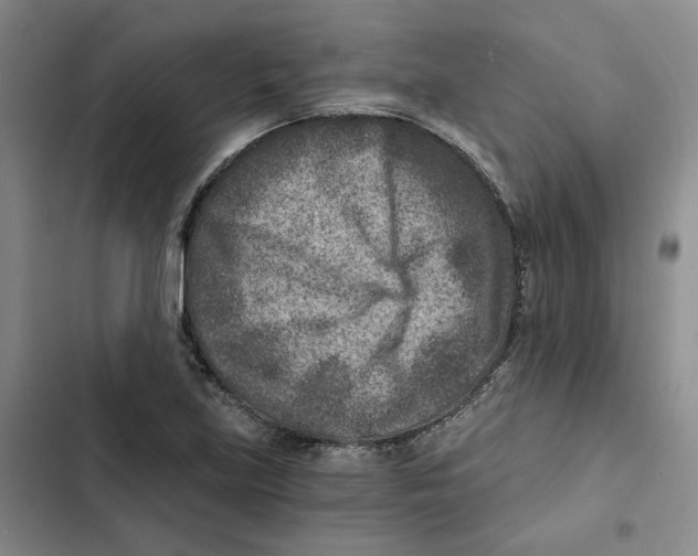 X0000102821219200809151007