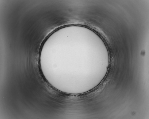X0000102821220200809151007