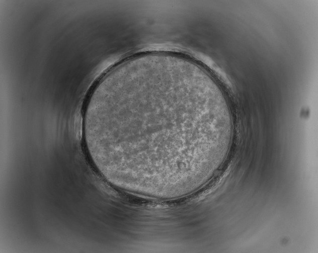 X0000102821221200809151007