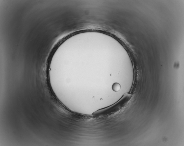 X0000102821222200809151007