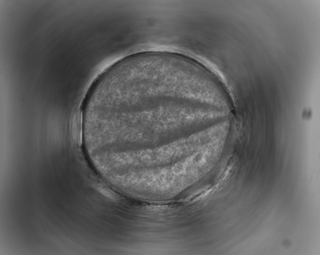 X0000102821223200809151007