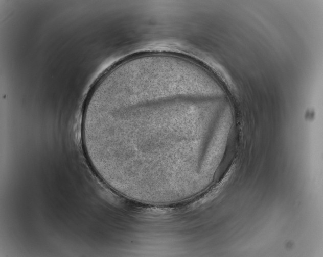 X0000102821224200809151007