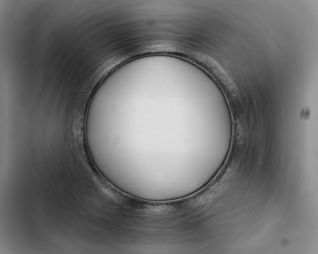 X0000102821225200809151007