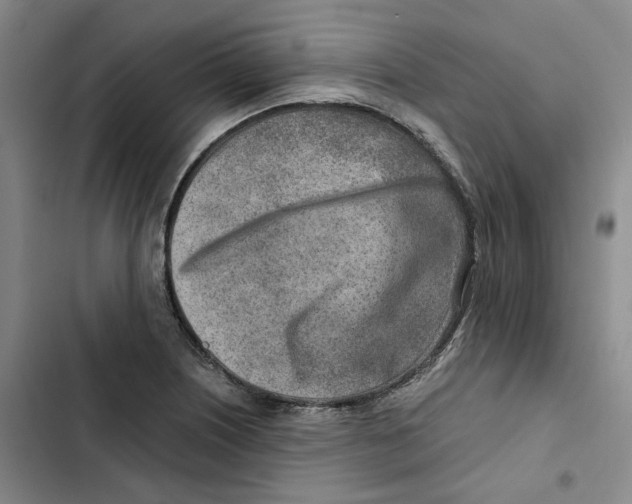 X0000102821226200809151007