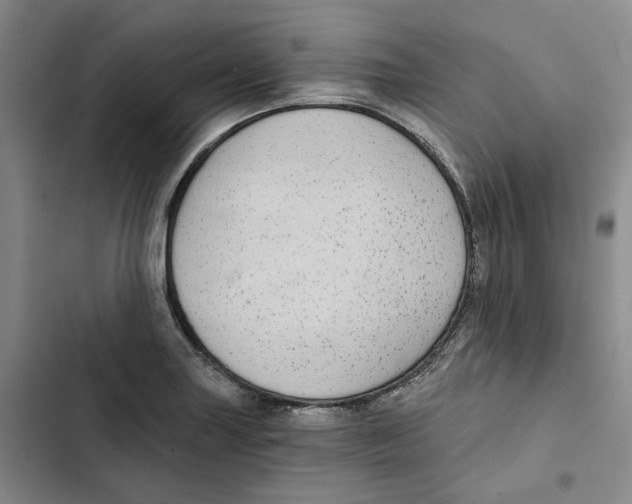 X0000102821227200809151008
