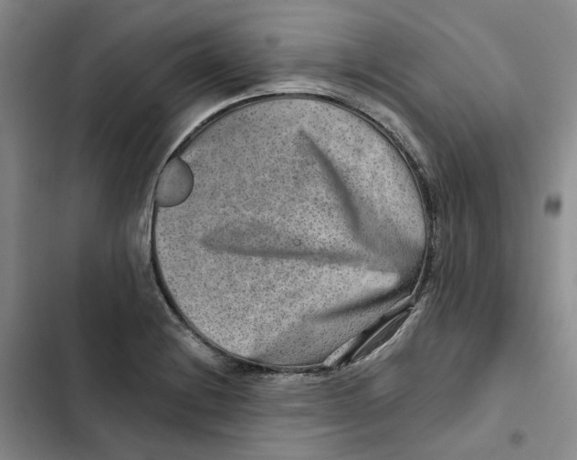 X0000102821228200809151008