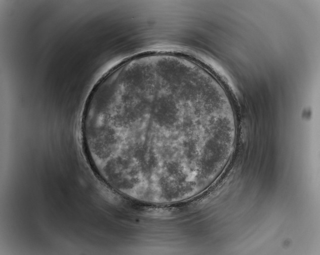 X0000102821229200809151008