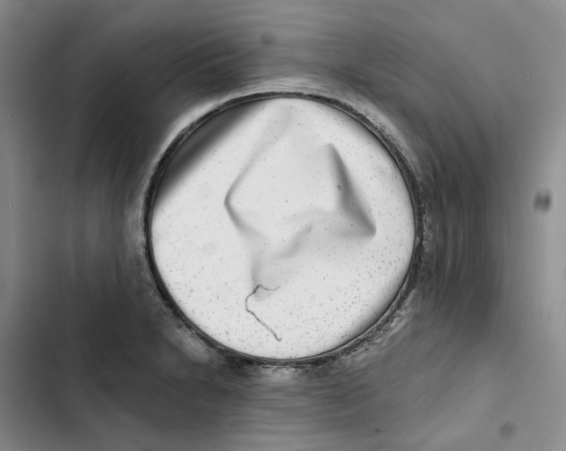 X0000102821230200809151008