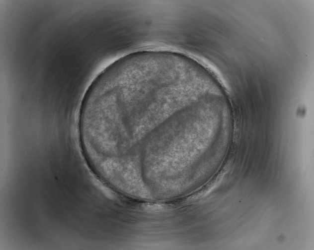 X0000102821231200809151008
