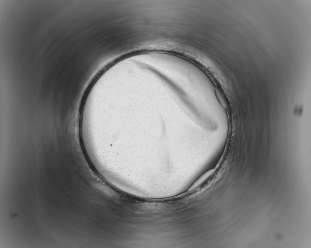 X0000102821232200809151008
