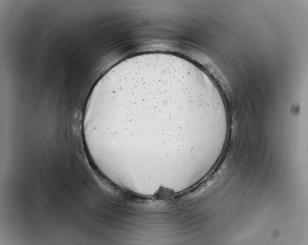 X0000102821233200809151008