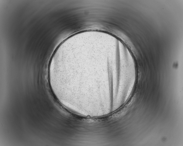 X0000102821234200809151008