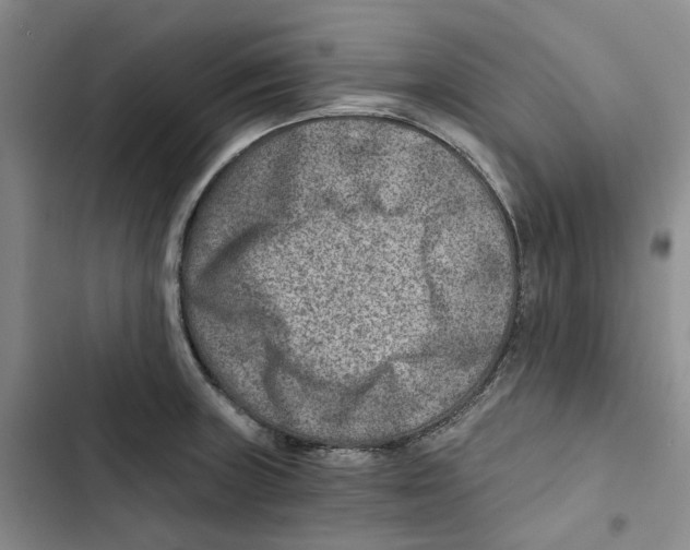 X0000102821235200809151008