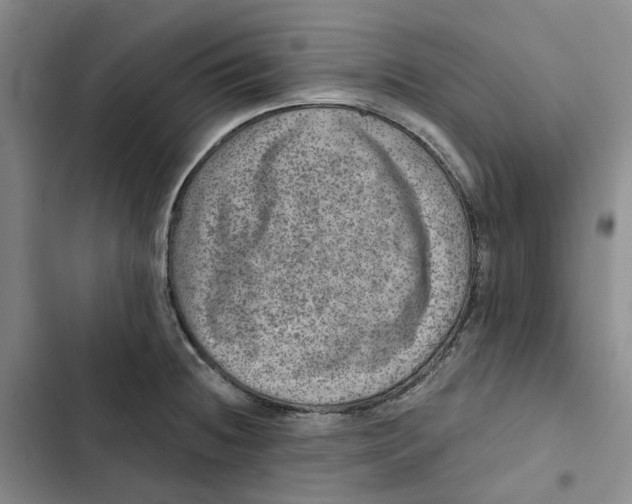 X0000102821236200809151008