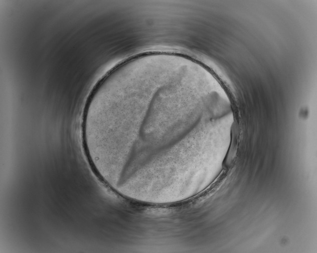 X0000102821237200809151008