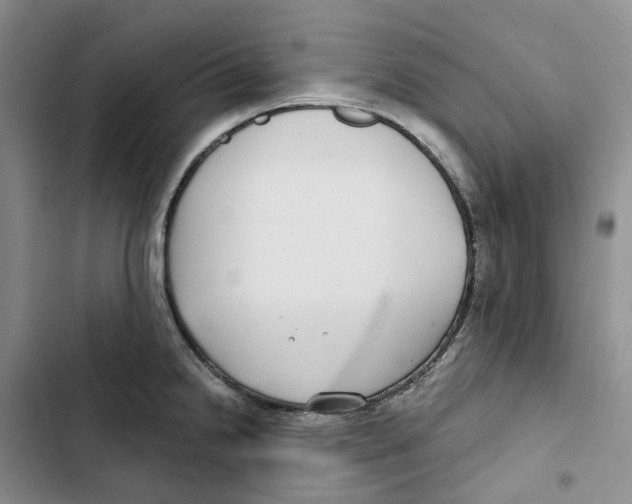 X0000102821238200809151008