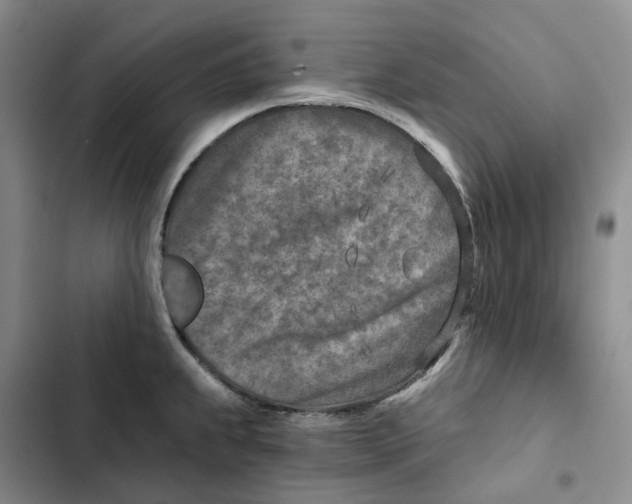 X0000102821239200809151008