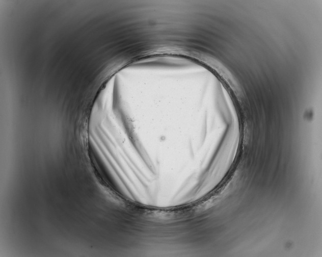 X0000102821241200809151008