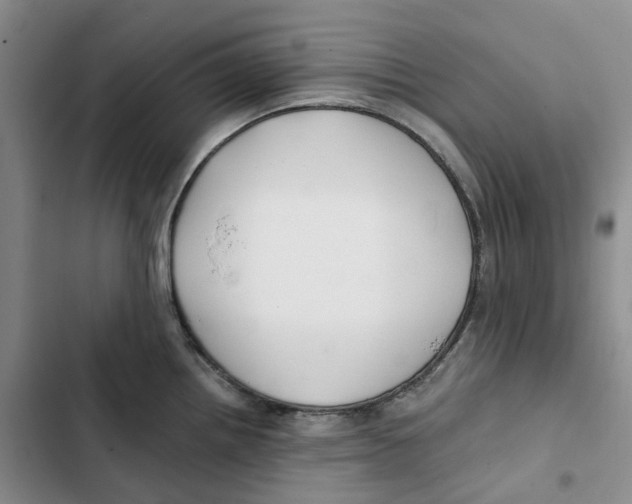 X0000102821242200809151008