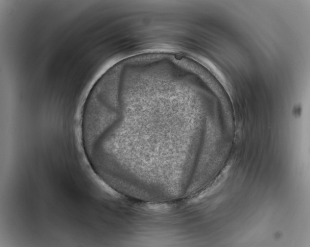 X0000102821243200809151008