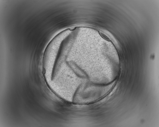 X0000102821244200809151008