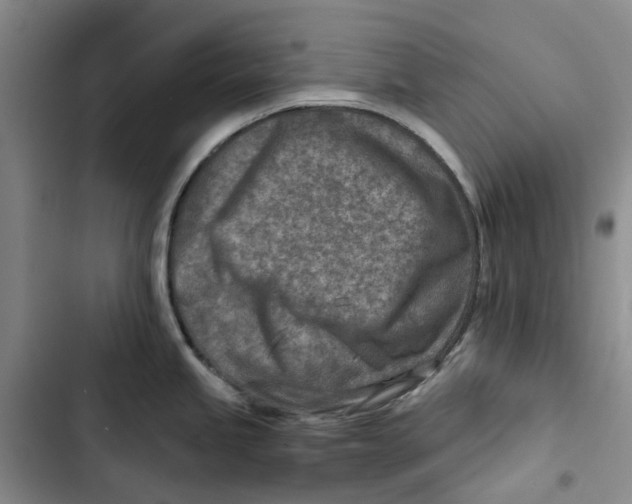 X0000102821245200809151008