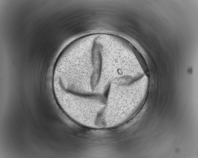 X0000102821246200809151008