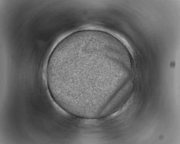 X0000102821247200809151008