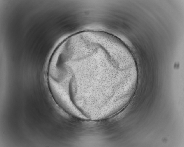 X0000102821248200809151008