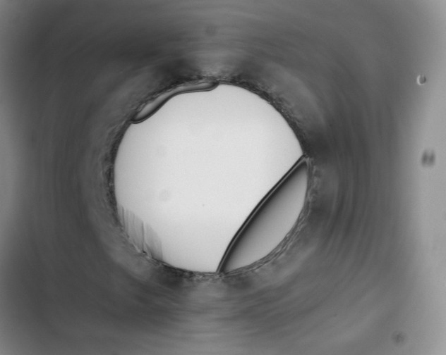 X0000102821249200809151007