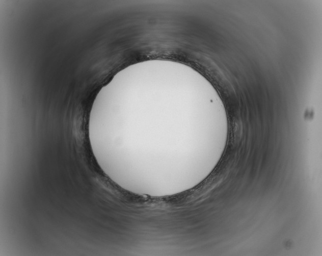 X0000102821250200809151007