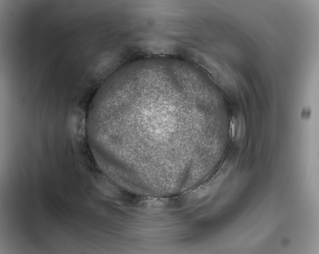 X0000102821251200809151007