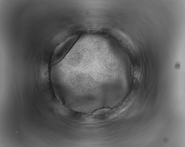 X0000102821252200809151007