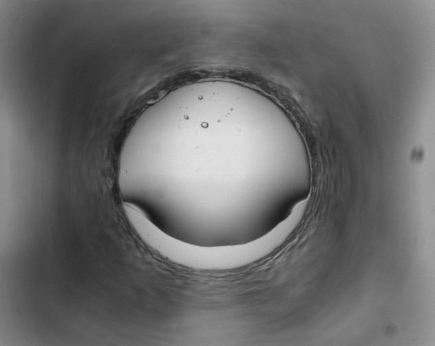 X0000102821253200809151007