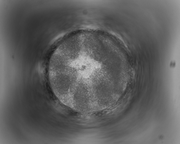 X0000102821254200809151007