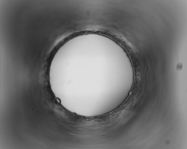 X0000102821256200809151007