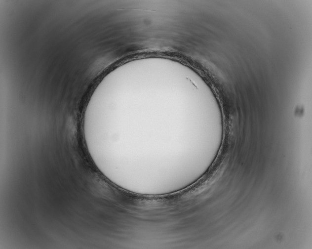 X0000102821257200809151007