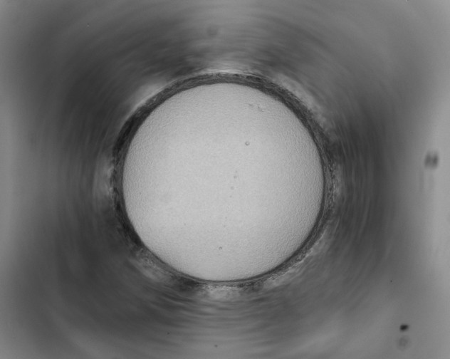X0000102821258200809151007