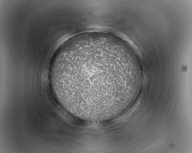 X0000102821259200809151007