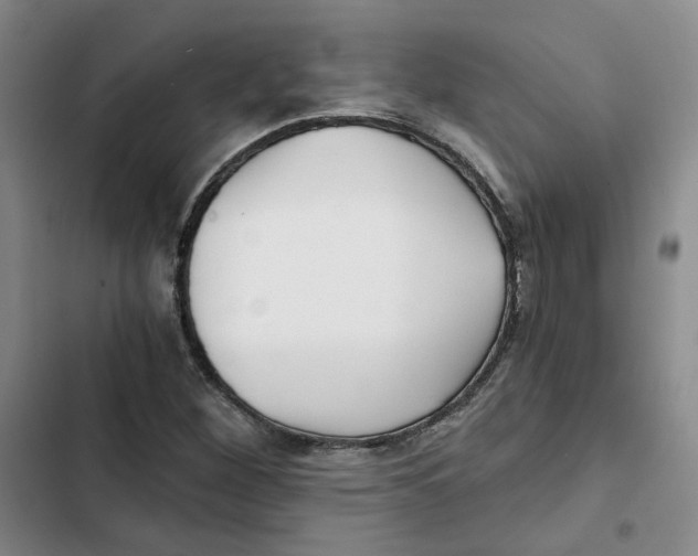 X0000102821260200809151007