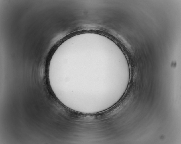 X0000102821261200809151007