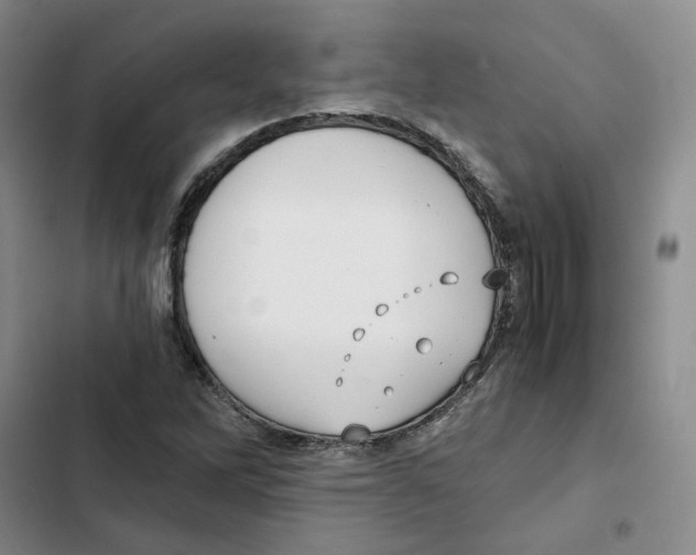 X0000102821262200809151007