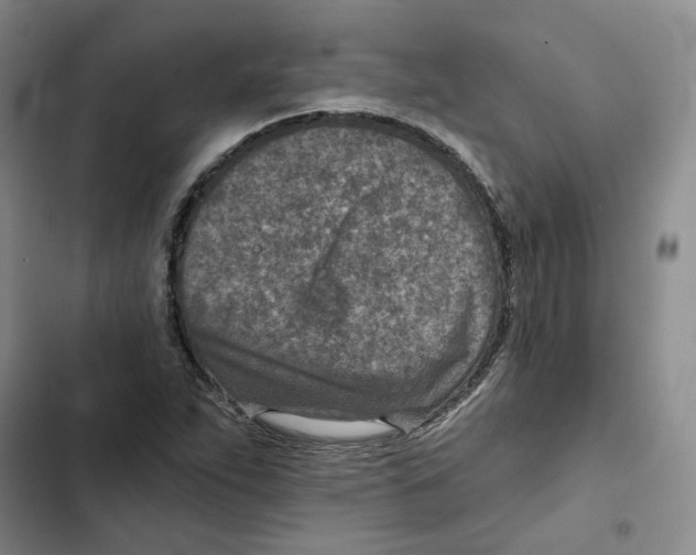 X0000102821263200809151007