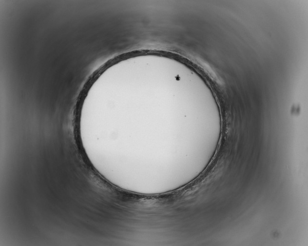 X0000102821264200809151007
