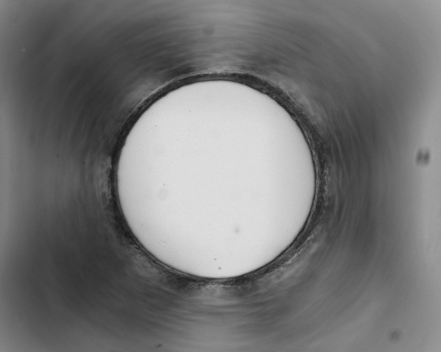 X0000102821265200809151007