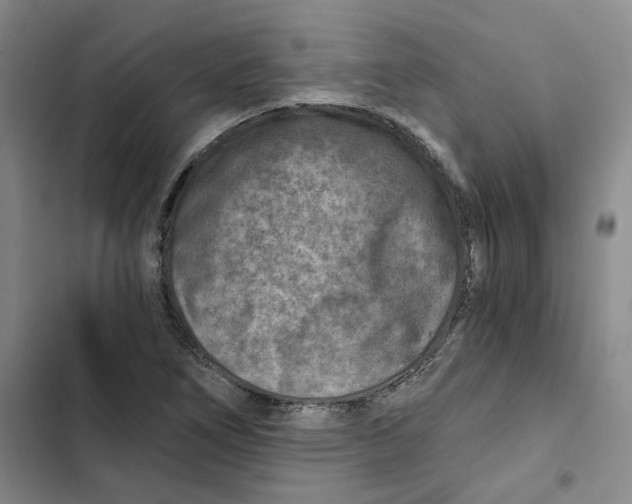 X0000102821266200809151007