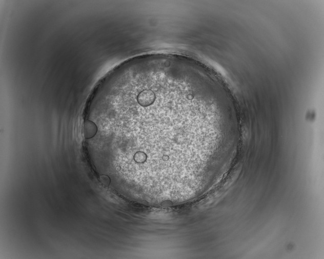 X0000102821267200809151007