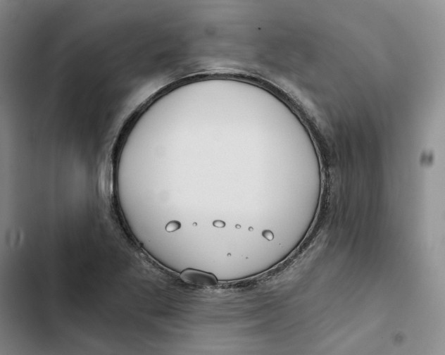 X0000102821269200809151007