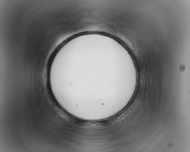 X0000102821270200809151007