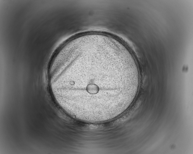 X0000102821271200809151007